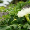 누리소농장 이미지