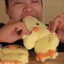 청둥오리직판장 | 부산아 내가왔다…!(1편)