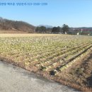 세평보건진료소 이미지