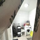 달중이네 펫호텔 | 제주 애월 프라이빗한 강아지 애견 독채 펜션, 달중이네 쉬멍