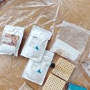 힐링 인센스스틱 만들기 | 부산 연제구 환경동아리 그린마인드｜1월 활동 기록, 인센스 스틱 만들기 체험 후기