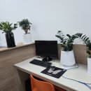 성실1급종합정비 이미지