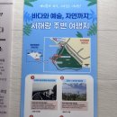 인생카서비스 | 서울 근교 당일치기 여행 서해랑 제부도 해상케이블카 아이랑 후기