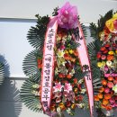 신화물류(주) Daum카페