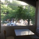 프루티(fruity) 이미지