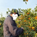 우영농원 이미지