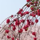 우룡산공원 이미지