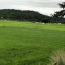 척산 공설시장 | [어르신의 충성]해파랑길 울진 24코스 후포항에서 기성버스터미널까지 18.4km를 걷다(2)