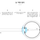 바라보다 안경 이미지