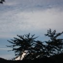 봉황자연휴양림 이미지