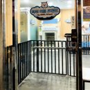 굿모닝프렌드 이미지