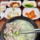 백세인생백세돼지