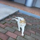 민생쿠폰신청하러 갔다가 아주 뻔뻔한 애를 봤어요 이미지