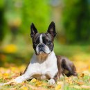 영덕종합동물병원 이미지