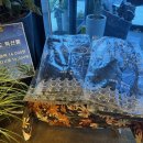 백령도 농수산