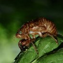 7년만의외출 이미지