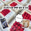 (주)코스트코 코리아 대전점 | 대전 코스트코 2월 넷째주 장바구니 먹거리 신상 및 알뜰 쇼핑 추천상품 리스트