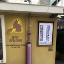 쏭타이치앙마이 | 신용산맛집 추천, 태국요리 전문점 쏭타이 치앙마이에서 탈레팟남프릭파오 먹은 후기