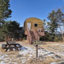 은행나무 | 무주 향로산 자연 휴양림 : 은행나무집 후기 [2편]