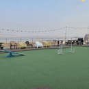 김포도그 이미지