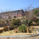 03/14. 순천시 매곡동 옛 삼산중학교와 탐매마을 정원 탐방 이미지