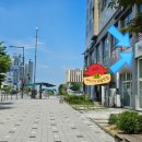 나성동_신한은행 앞 이미지