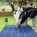 국가대표 합기도 이미지