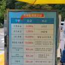[서울대공원 캠핑장 솔직 후기] 주차대란, 주차꿀팁, 이용 꿀팁, 가성비갑 캠핑장