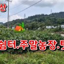 황금의땅공인중개사사무소 이미지