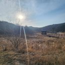 대난지도민박식당 이미지