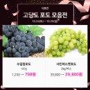 대전점프로스펙스