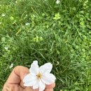 (주)이그잼 네이버블로그
