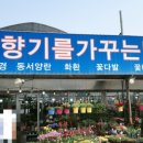 꽃향기를가꾸는남자 이미지