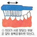 [자료]치아 마모 줄이려면 칫솔질 부드럽게 하라 이미지