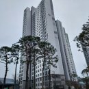 명지로40번길 네이버블로그