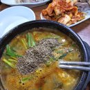 당구치는날 이미지