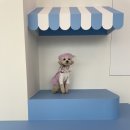 개뜰날 라운지 이미지