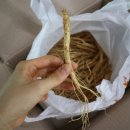 덕인농장 이미지