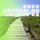 2025 청양 고추 구기자 축제(제26회) | 얼얼함과 달콤함의조화! 청양 고추•구기자 축제