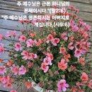 " 주예수님은 하나님의 본체이시다. 이미지