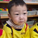 멍멍아 까꿍 이미지