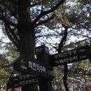 꽃마을 약수터 이미지