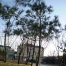 빈정공원 이미지