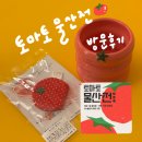 대한물산 | 토마토마토, 토마토 물산전🍅