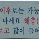 리버랜드호텔 이미지