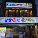 팔팔산오징어 | 팔팔회관 산오징어 삼덕점 대구 오징어회 횟집 추천