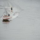 베네치아컨트리클럽 이미지