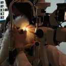 24시 서초바른동물병원 이미지