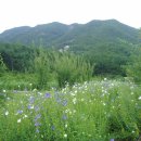 두메산골 - 여수시 소호8길 6 | 두메산골