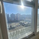 블루핀금탑공인중개사사무소 | [경산오피스텔분양] 영남대 신입생 방 구하기! 임당역 3분 컷 '임당역스마트시티' &amp; 블루핀금탑부동산 추천